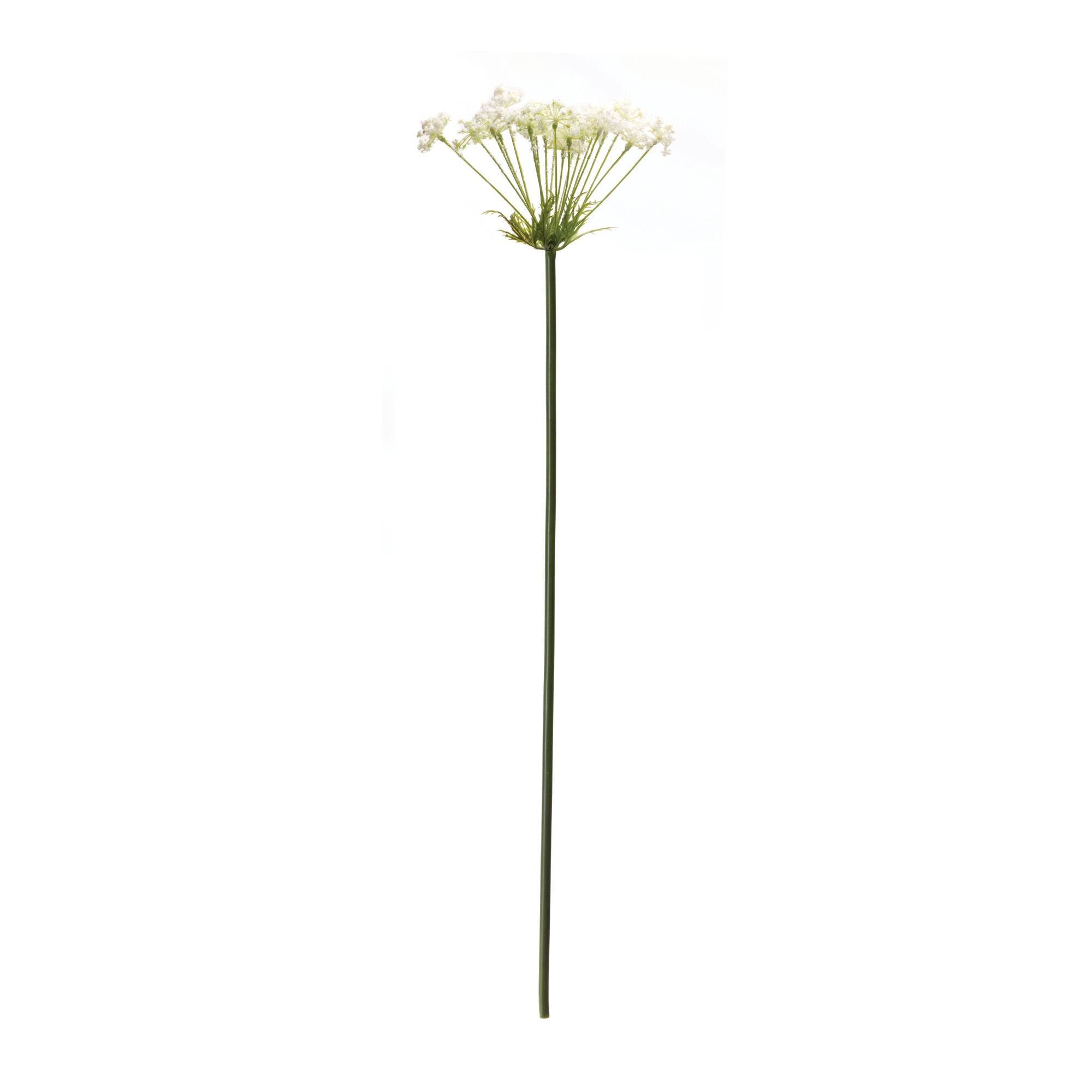 Queen Anne's Lace Stem, 2ct.